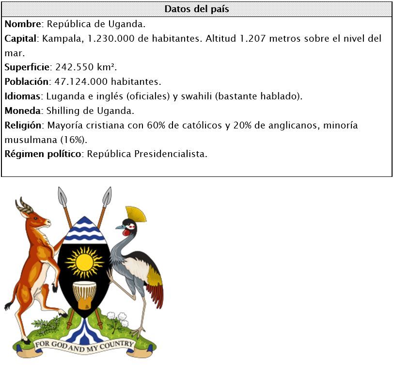 Ficha técnica